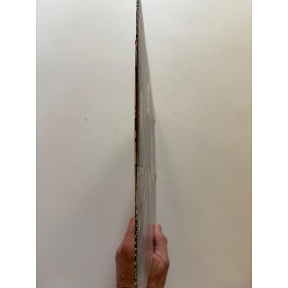 Rugiero Y El Trio Sinai El (Mi) Maestro 1977 LP RI 102 Cleaned G+ - Picture 4 of 8